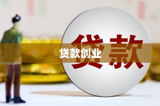 巩留贷款创业