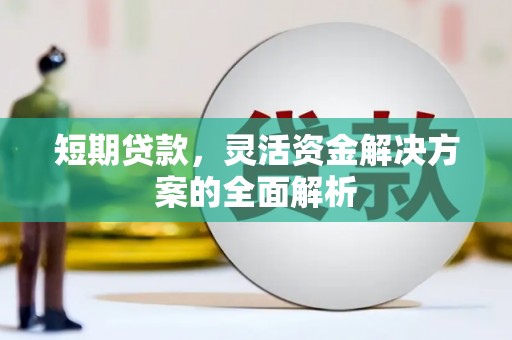 双柏短期贷款，灵活资金解决方案的全面解析