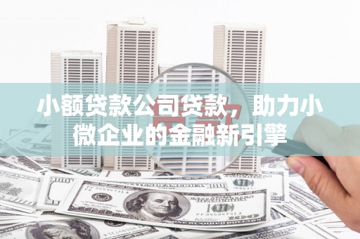宝应小额贷款公司贷款，助力小微企业的金融新引擎