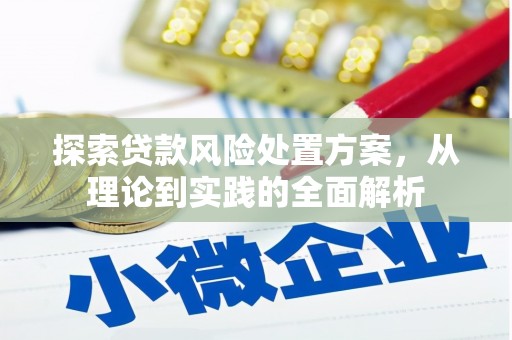 大安探索贷款风险处置方案，从理论到实践的全面解析