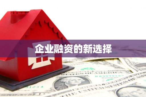 西和企业融资的新选择