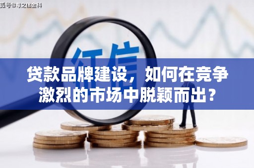 保靖贷款品牌建设，如何在竞争激烈的市场中脱颖而出？