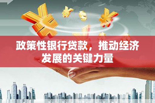 社旗政策性银行贷款，推动经济发展的关键力量