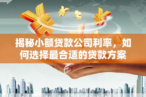 湖内揭秘小额贷款公司利率，如何选择最合适的贷款方案