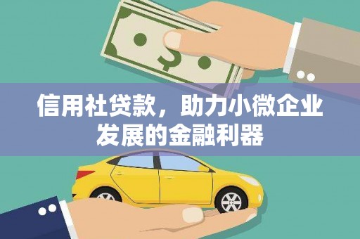 康县信用社贷款，助力小微企业发展的金融利器