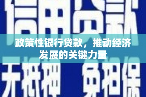 高阳政策性银行贷款，推动经济发展的关键力量