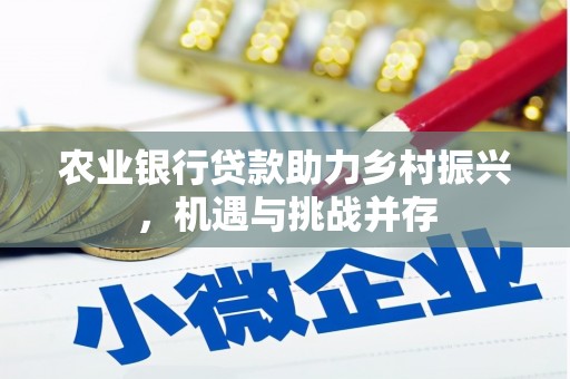 沿河农业银行贷款助力乡村振兴，机遇与挑战并存