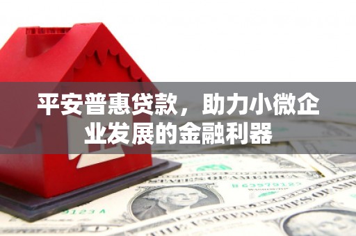 高坪平安普惠贷款，助力小微企业发展的金融利器