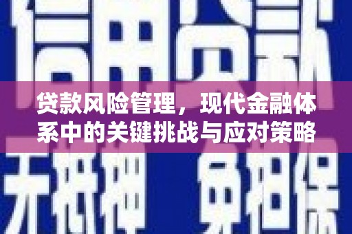 任城贷款风险管理，现代金融体系中的关键挑战与应对策略