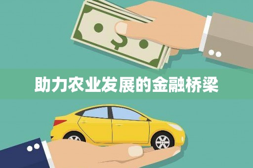 金湖助力农业发展的金融桥梁