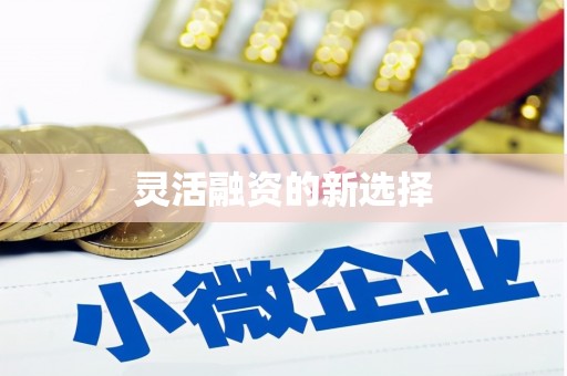 襄汾灵活融资的新选择