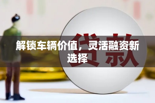 沙洋解锁车辆价值，灵活融资新选择