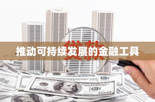 六横推动可持续发展的金融工具