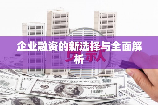 昭苏企业融资的新选择与全面解析
