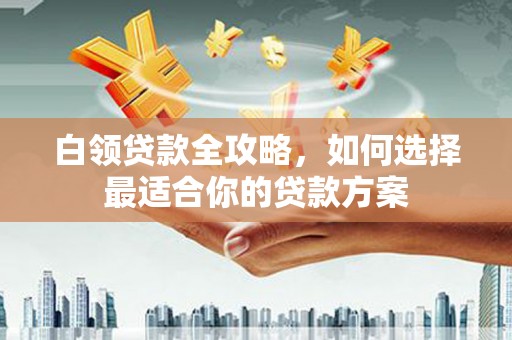 西畴白领贷款全攻略，如何选择最适合你的贷款方案